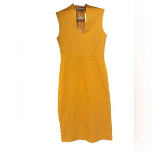 Rolla Coster | Rolla V-neck Bodycon Mustard Dress (L)
